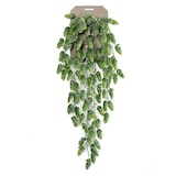thumbnail of Planta colgante LUPULO de 70 cm de largo. (6 unidades)