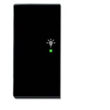 thumbnail of Busch-Jaeger 2fach Abdeckung Symbolwippe "Licht" free@home Schwarz-Grau, Anthrazit 2CKA006220A0050 1