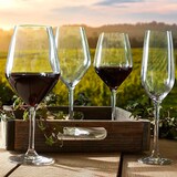 thumbnail of Ogo Living - Boite de 6 flutes à champagne zenith en cristallin 19 cl
