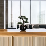 thumbnail of WellHome - Bonsai artificial en maceta de cerámica 35 x 32 x 34cm