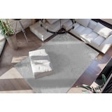 thumbnail of Cathee 200 Taupe / Silber 120cm x 170cm