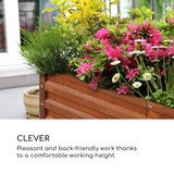 thumbnail of Rust Grow Hochbeet Gartenbeet verzinktes Stahlblech Rost-Finish Rost