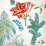 thumbnail of Mank Tissue Serviette Amaryllis, 33 x 33 cm, 100 Stück - Weihnachten Xmas