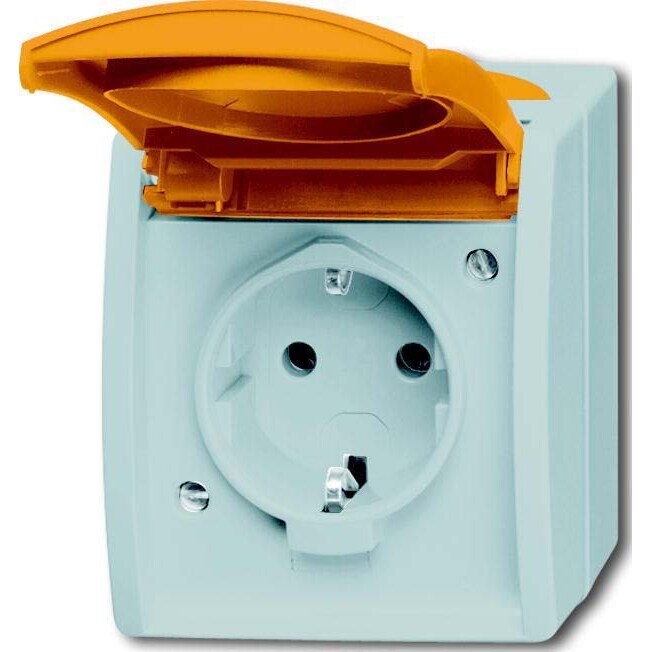 Busch-Jaeger Schuko-Steckdose 20 EWN-14-53 2CKA002083A0820