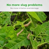 thumbnail of VerminBuster Schneckenfalle 20 Stück - Schneckenfänger - Schneckenfallen Bier - Schneckenabwehr - Alternative Schneckenkorn / Schneckengift