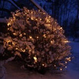 thumbnail of LED Lichterkette 10m koppelbar bis 700 LED mit Trafo Weihnachtslichterkette