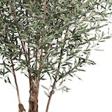 thumbnail of CREATIV green künstliche Pflanze Olivenbaum, ca 270cm