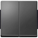 thumbnail of AQUADESIGN Wippe Serien, Schalter/Taster, anthrazit, glänzend, ohne ISO Aufdruck, geeignet für Bussystem-Tasterankopplung