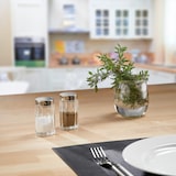 thumbnail of Westmark Set Salz- und Pfefferstreuer Traditionell, 2tlg, 631122E1