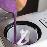 thumbnail of CASO IceCreamer