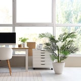 thumbnail of Planta artificial ARECA II Verde hjh OFFICE