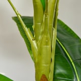thumbnail of HOMCOM Banano Pianta in Vaso Pianta Finta per Interno ed Esterno 150cm
