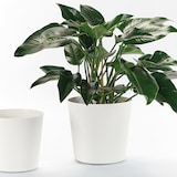 thumbnail of EURO3PLAST Blumentopf Fyre Ø 40 cm weiß