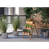 thumbnail of Kräuterregal Blumentreppe Massivholz Buche klappbarer Blumenständer 90.91-01