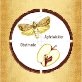 thumbnail of Substral Naturen Obstmaden-Falle Nachrüstset, gegen Apfelwickler