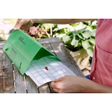 thumbnail of Substral Naturen Obstmaden-Falle Nachrüstset, gegen Apfelwickler