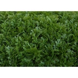 thumbnail of Künstlicher Busch HWC-O96, Thujakugel Dekopflanze Kunstpflanze Lebensbaum künstlich, Outdoor, Polyethylen Ø 52cm