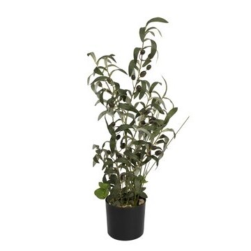 mobile_image