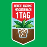 thumbnail of Roundup Unkrautfrei TOTAL, 1 L Sprühflasche