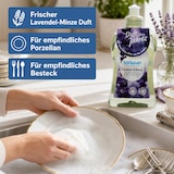 thumbnail of SODASAN Spülmittel Lavendel & Minze 500 ml