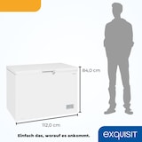 thumbnail of Exquisit Gefriertruhe GT320-HE-041D weiss | 308 l Nutzinhalt | Weiß