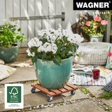 thumbnail of WAGNER Pflanzenroller WPC 29 x 29 x 7,5 cm, für außen & innen, terracotta, wetterfest, 2 Feststeller, Tragkraft 80 kg - 20053001