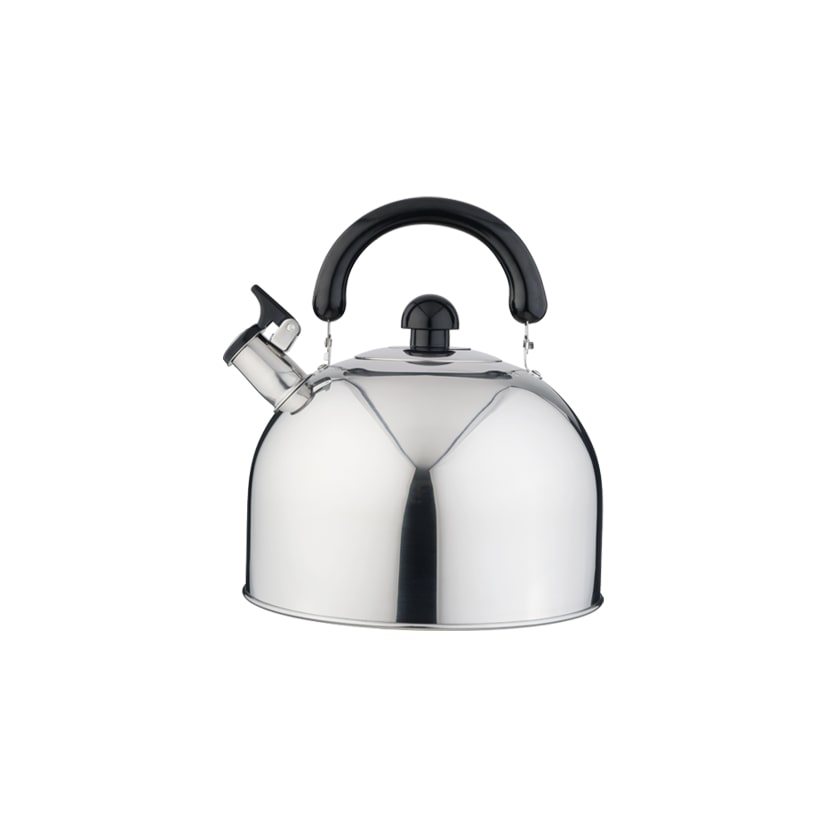Eva Bouilloire avec sifflet inox induction 4,2l