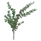 thumbnail of VOSTEEN 4 Stück Eukalyptuszweige - konservierte Trockenblumen für Tischdeko, Hochzeitsdeko & Events - natürliche, langlebige Dekoration