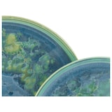 thumbnail of CreaTable Yuki Grün-blau Servierplatte 2-tlg Steinzeug