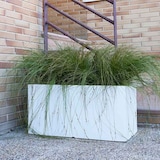 thumbnail of WellHome - Vaso da fiori in polietilene bianco 60x20x20 cm