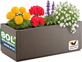 thumbnail of CASARIA® Pflanzkasten Ethica 80x36x36cm Braun