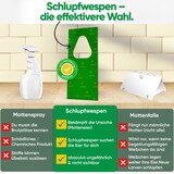 thumbnail of Schlupfwespen gegen Kleidermotten: 4x Lieferungen zur Vollbehandlung / 3