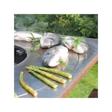 thumbnail of Braciere da giardino, Barbecue con copertura protettiva - G1 corten