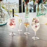 thumbnail of Chef & Sommelier Evidence Set 6 Copas Vidrio 27Cl