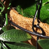 thumbnail of Jardinera artificial Lirio Rosado| Naturing Monde - Diametro 30cm -Para interior y exterior - Material 100% HDPE alta calidad