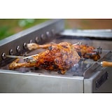 thumbnail of Barbecue Portugais 9 brochettes rotatives au charbon de bois sur support avec roulettes  1100x610x970