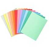thumbnail of EXACOMPTA Paquet de 100 chemises SUPER 250 en carte 210 grammes coloris assortis