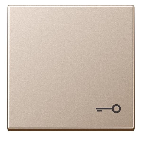 Jung Wippe Symbol TÜR champ A 590 T CH A590TCH