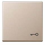 thumbnail of Jung Wippe Symbol TÜR champ A 590 T CH A590TCH