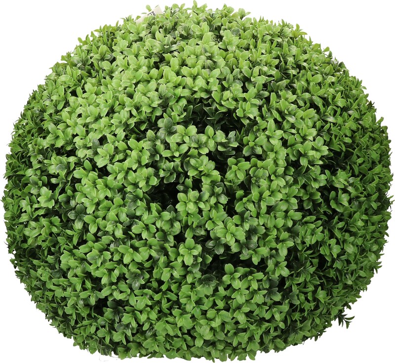 mobile_image