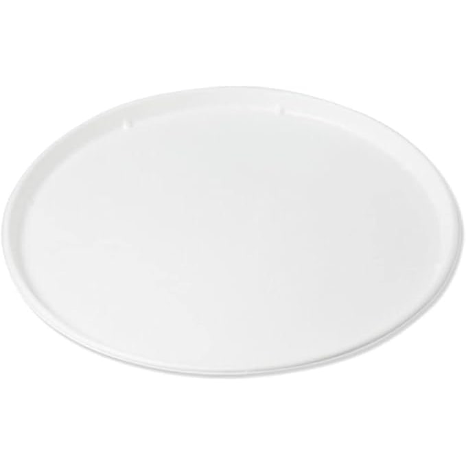 DOT Horeca Solutions 250 Piatti pizza  carta bagassa 32 CM usa e getta monouso polpa di cellulosa compostabili bio bianco delivery