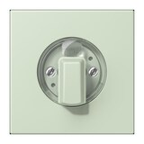 thumbnail of Jung Abdeckung für Drehschalter LC 1941 218 LC1941218