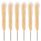 thumbnail of CREATIV green künstliche Pflanze Pampasgras, 113cm, creme, 6er Set