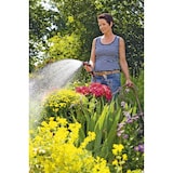 thumbnail of Classic Bewässerungsbrause