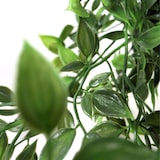 thumbnail of Planta artificial / Planta colgante EPIPREMNUM CLIMB Hiedra 50 cm verde hjh OFFICE