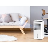 thumbnail of Climatiseur évaporatif de 1500 m3/h RAFY 99D de Purline