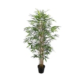 thumbnail of Bambu 180 Cm