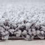 thumbnail of Teppich Schlafzimmer Hochflor Unifarben Samtweich Waschbar Strapazierfähig Wohnzimmer Hellgrau 240x340 cm – RHEIN von Kadima Design