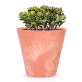 thumbnail of Prosperplast - TUBUS BETON EFFECT 3,5-l-Topf - 20 x 20 x 18,7 cm in der Farbe Anthrazit