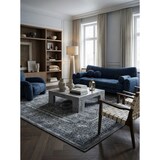 thumbnail of Teppich Wohnzimmer Orientalisch Pflegeleicht Waschbar Strapazierfähig Schlafzimmer OEKO-TEX Grau 240x340 cm – ALETSCH von Kadima Design